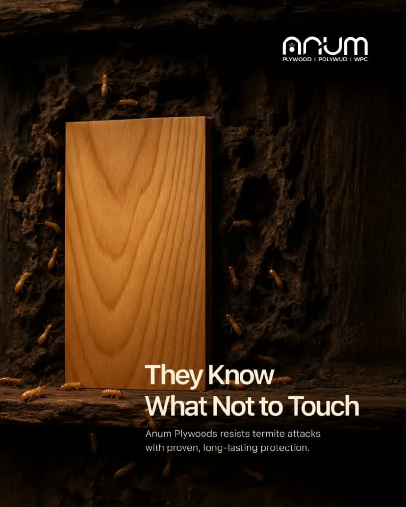 Portfolio Background