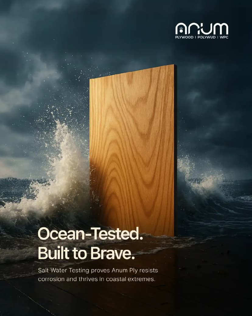 Portfolio Background