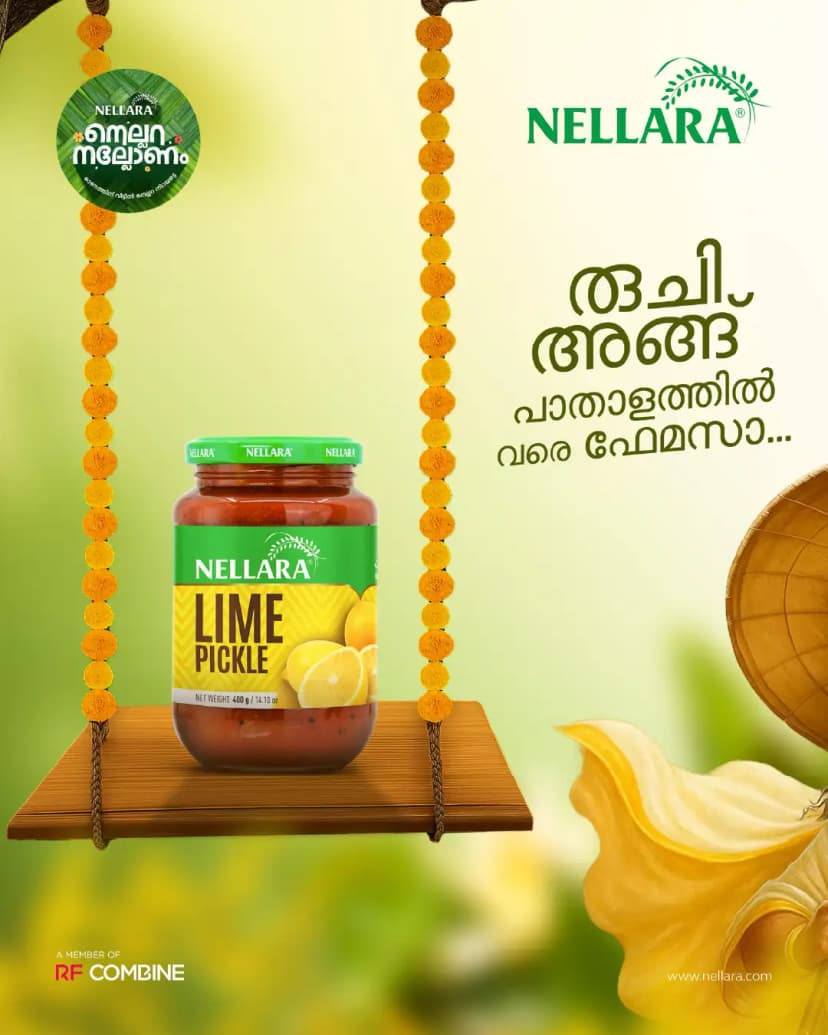 Portfolio Background