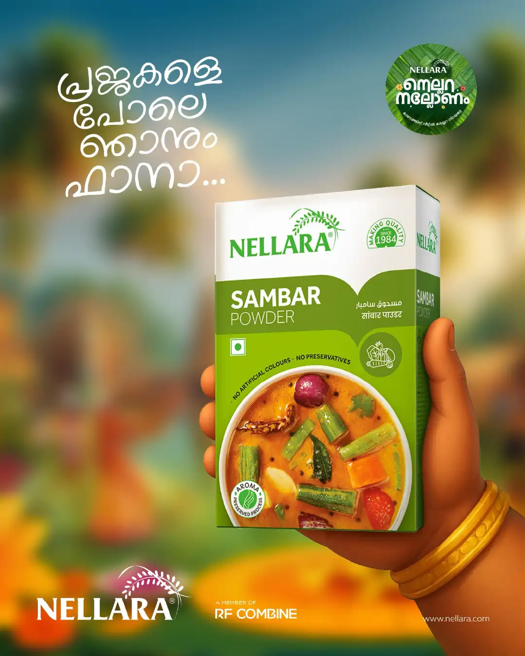 Portfolio Background