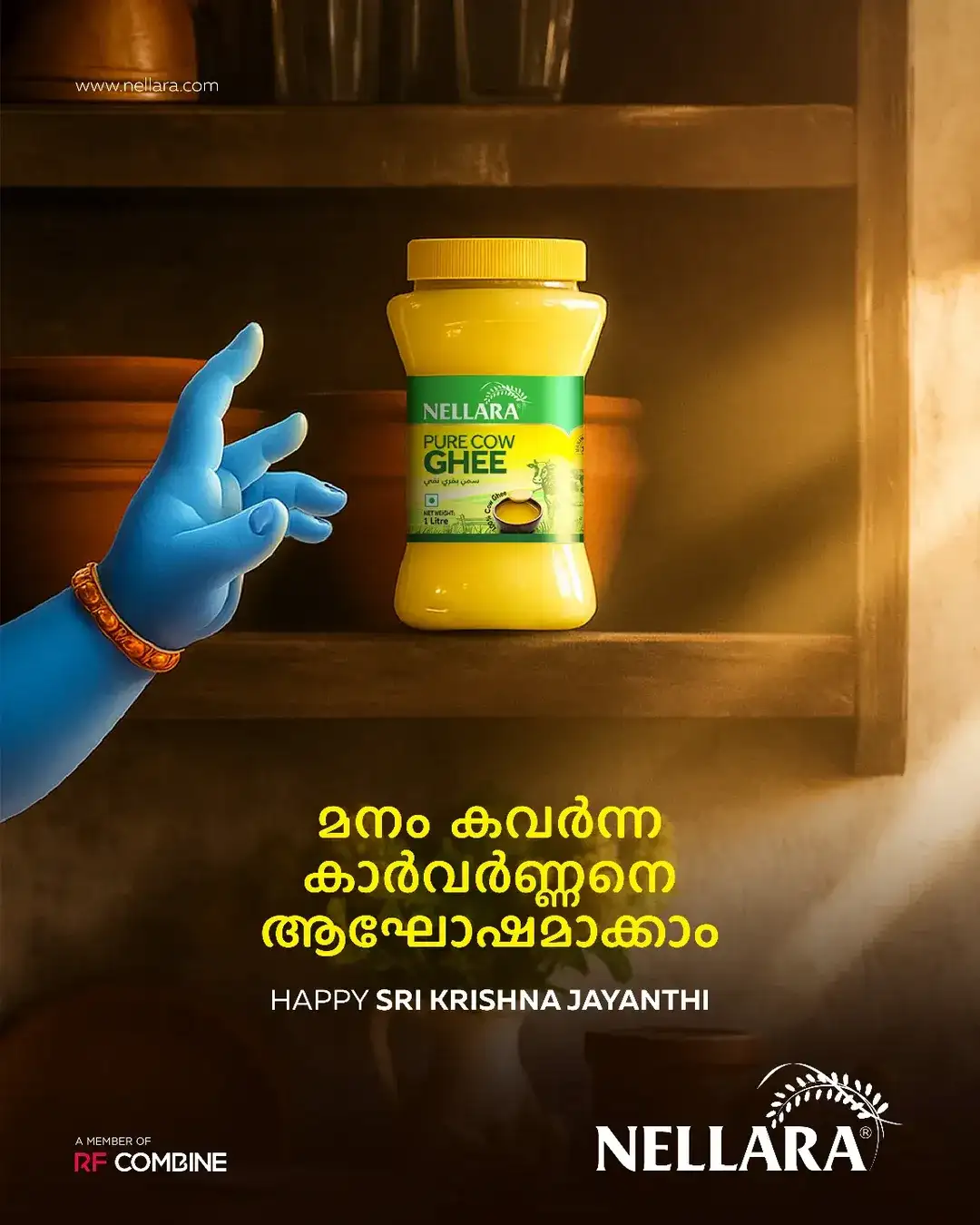 Portfolio Background