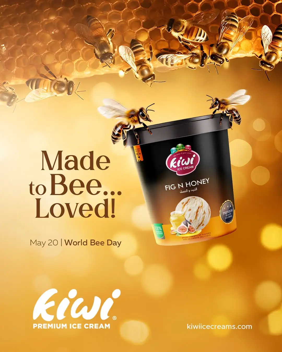 Portfolio Background